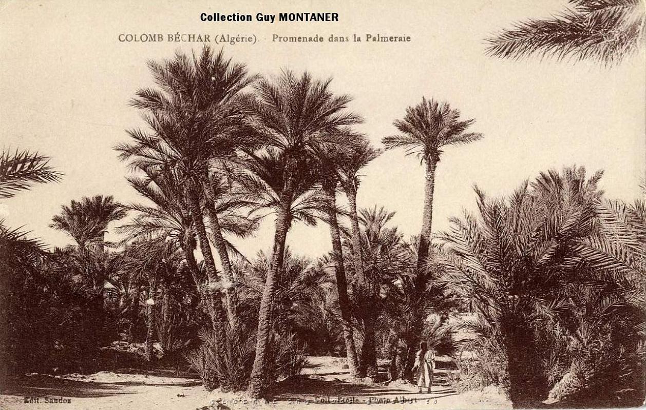 Colomb bechar 022- Collection Montaner_2.jpg
